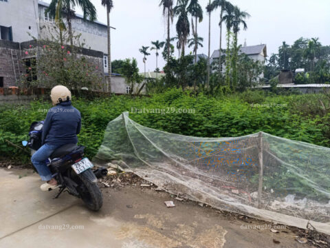 Chính chủ cần bán 202,1m2 thuộc Thôn Gò Cáo – Thủy Xuân Tiên – Chương Mỹ – Hà Nội