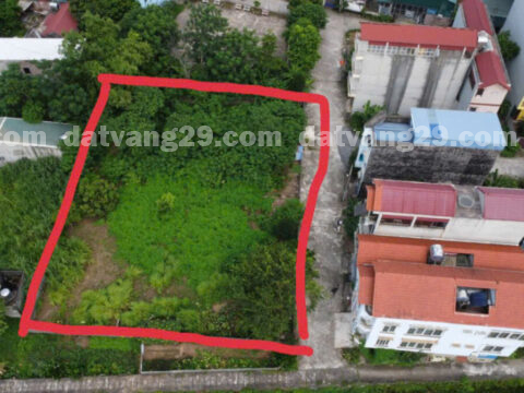 Chính chủ cần bán 133,3m2 thuộc Xóm Nứa – Đại Yên – Chương Mỹ – Hà Nội