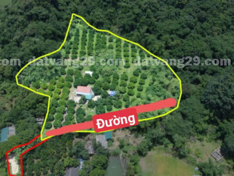 Chính Chủ cần bán hơn 8000m2 thuộc Xóm Hang – Đa Phúc – Yên Thủy – Hòa Bình