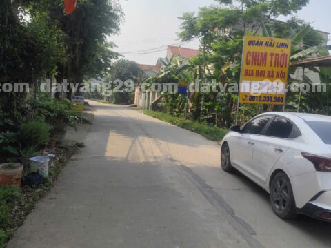 Chính chủ cần bán 125m2 thuộc Thôn Bài Trượng – Hoàng Diệu – Chương Mỹ – Hà Nội