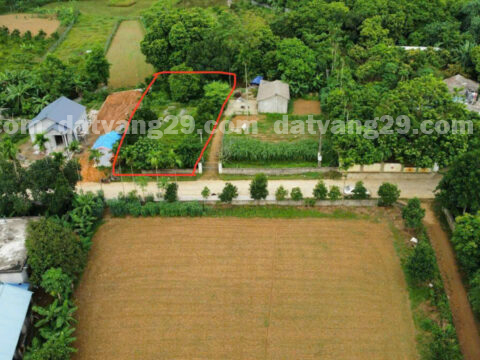 Chính chủ cần bán 709,7m2 thuộc Thôn Dẻ Cau – Hợp Thanh – Lương Sơn – Hòa Bình