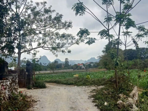 Chính chủ cần bán 278,7m2 thuộc Thôn Lũ – Phú Thành – Lạc Thủy  – Hòa Bình