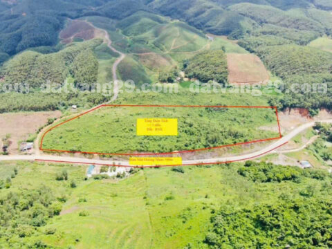 Chính chủ cần bán 4ha thuộc Thôn Yên Tân – Lạc Lương – Yên Thủy – Hòa Bình