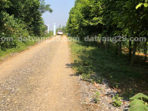 Chính chủ cần bán thuộc Xóm Bài – Chí Thiện – Lạc Sơn – Hòa Bình S=3696m2