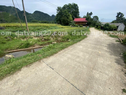 Chính Chủ cần bán thuộc Xóm Bất – Phú Cường – Tân Lạc – Hòa Bình S=536,6m2