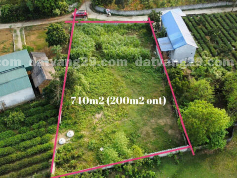 Chính chủ cần bán thuộc Thôn Lũ – Phú Thành – Lạc Thủy – Hòa Bình S=740,6m2