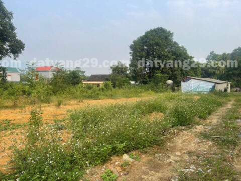 Chính chủ cần bán 1465,6m2 thuộc Xóm Ao Hay – Yên Trị – Yên Thủy  – Hòa Bình