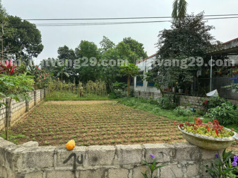 Chính chủ cần bán 299m2 thuộc Xóm Đồng Vỡ – Gò Cáo – Thủy Xuân Tiên – Chương Mỹ – Hà Nội