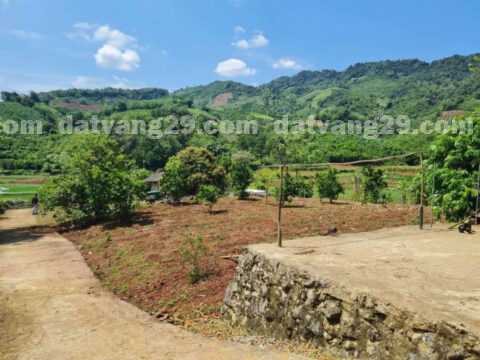 Chính chủ cần bán Xóm Đồi – Tây Phong – Cao Phong – Hòa Bình S=920,2m2