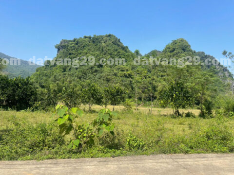 Chính chủ cần bán 3137,3m2 Băng Hợp – Hợp Châu – Lương Sơn – Hòa Bình