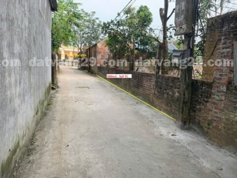 Bán đất thổ cư Yên Kiện – Đông Sơn – Ngay cạnh trục đường liên huyện Quốc Oai   S=104,9m