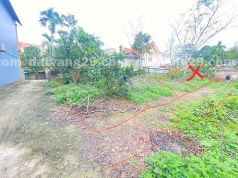 Chính chủ cần bán 43m2 thuộc Thôn Đồi Bé – Thanh Bình – Chương Mỹ – Hà Nội