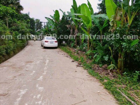 Chính chủ cần bán 489,5m2 thuộc Xóm Ào – Quy Mỹ – Tân Lạc – Hòa Bình