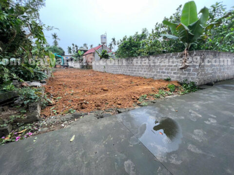 Chính chủ cần bán 141,8m2 thuộc Thôn Gò Cáo – Thủy Xuân Tiên – Chương Mỹ – Hà Nội