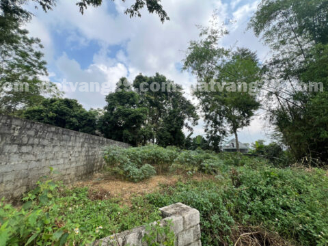 Chính chủ cần bán 291,1m2 thuộc Xóm Giếng Êm – Nhuận Trạch – Lương Sơn – Hòa Bình