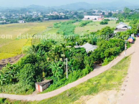 Chính chủ cần bán 1000m2 thuộc Xóm Cốm – Đông Lai – Tân Lạc – Hòa Bình