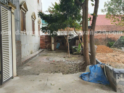 Chính chủ cần bán 73,7m2 thuộc Xóm Hạ – Phú Vinh – Phú Nghĩa – Chương Mỹ – Hà Nội