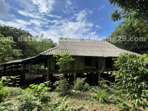 Chính chủ cần bán 1012,5m2 thuộc Xóm Bảy – Phú Cường – Tân Lạc – Hòa Bình