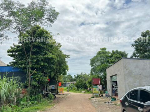 Chính chủ cần bán 252,9m2 thuộc Xóm Ngau – Phú Vinh – Tân Lạc – Hòa Bình