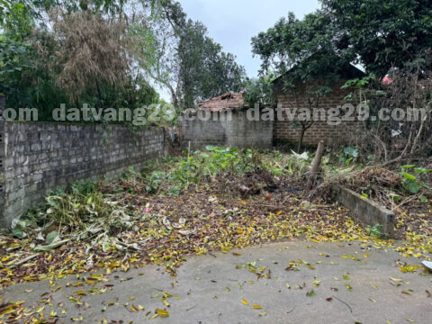 Chính chủ cần bán 60m2 thuộc Thôn Đông Nam – Nam Phương Tiến – Chương Mỹ – Hà Nội