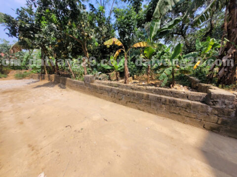 Bán đất thổ cư Tiên Phương – Chương Mỹ – Hà Nội    S=45m2