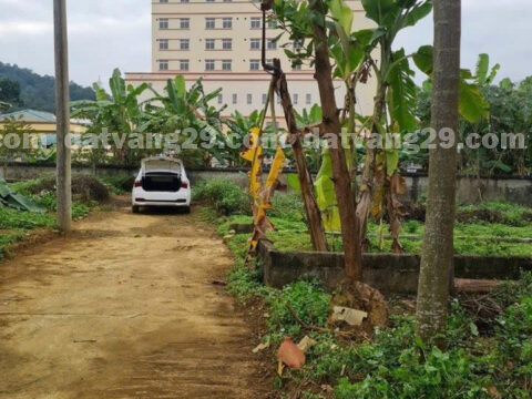 Chính chủ bán thửa đất 95m2 khu phân lô 304 PCCC Thôn Tân Sơn – Hoà Sơn- Lương Sơn – Hoà Bình