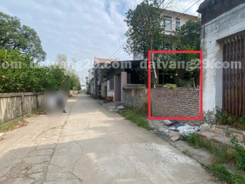 Bán đất  Thôn Phương Bản – Phụng Châu – Chương Mỹ – Hà Nội