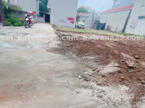 Bán đất Phụng Châu – Chương Mỹ – Hà Nội – Diện Tích 58,2m2