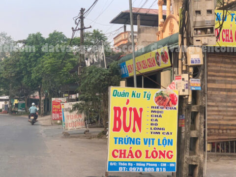 Bán đất thổ cư tại xã Hồng Phong, Chương Mỹ, Hà Nội – Diện tích 100m2 – LK 11  