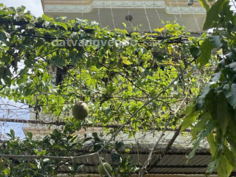 Bán đất thổ cư + nhà 4 tầng ở Xã Phụng Châu – Chương Mỹ – Hà Nội — S=96m2