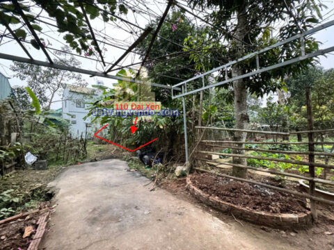 Bán đất thổ cư Tại Đại yên, Chương Mỹ, Hà Nội -Xóm Nứa  S=110m2