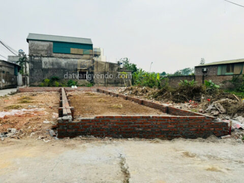 Bán đất Đại Yên Chương Mỹ Hà Nội diện tích 63,7m2