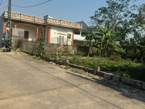 Bán đất thổ cư đẹp tại Tuy Lai – Mỹ Đức – Hà Nội    S=54,4