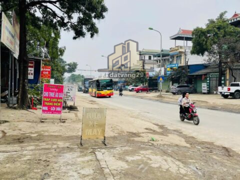 Bán đất thôn Quyết Hạ – Đông Sơn – Ngay gần đường quốc lộ 6 phân lô cực đẹp  S=215m2