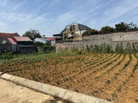 Bán đất full thổ cư Thanh Bình,ngay gần Quốc lộ 6 dân cư đông đúc – S=75,2m2