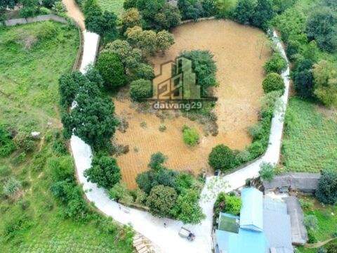 Bán đất thổ cư ở Liên Sơn – Hoà Bình,ngay cạnh vành đai 5 ,đã chia làm 24 lô  khuôn thửa cực đẹp   S=24 lô