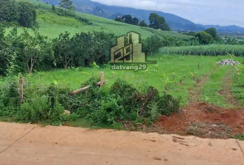 Bán lô đất nghỉ dưỡng tại Nà Bái, Dũng Phong, Cao Phong   S=1239m2