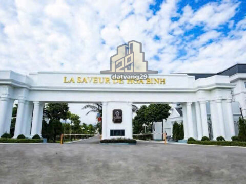 Bán Đất phân lô ở KCN Nhuận Trạch – Hoà Bình, cực kỳ tiềm năng và sầm uất   S=115,2m2