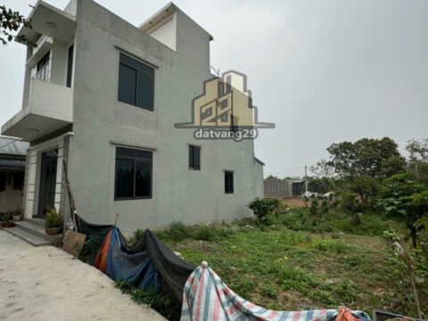 Bán Đất Phụng Châu Chương Mỹ Hà Nội – S=127m2