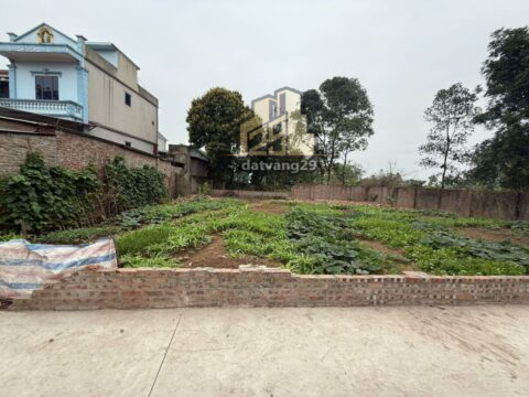 Bán đất Thượng Vực – Hà Nội – Đất phân lô thoải mái,ô tô vào đất  S=480m2