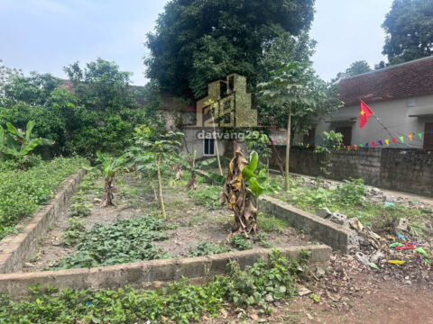 Bán Đất Nam Phương Tiến Chương Mỹ Hà Nội – S=52m2