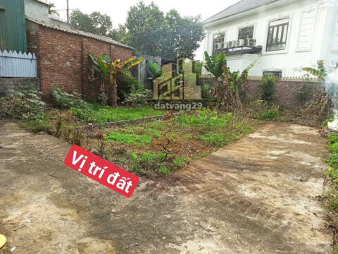 Bán Đất Đông Phương Yên Chương Mỹ Hà Nội – S=43.2m2