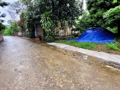 Bán Đất Thuỷ Xuân Tiên Chương Mỹ Hà Nội – S= 126m2