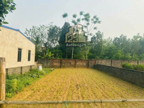 Bán Đất Xuân Linh Full thổ cư đường 8m — S= 236m2