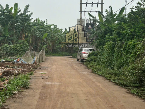 Bán Đất Đại Yên Chương Mỹ Hà Nội – S=74.8m2