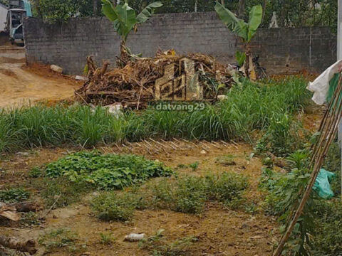 Bán Đất Đông Phương Yên Chương Mỹ Hà Nội – S= 142m2