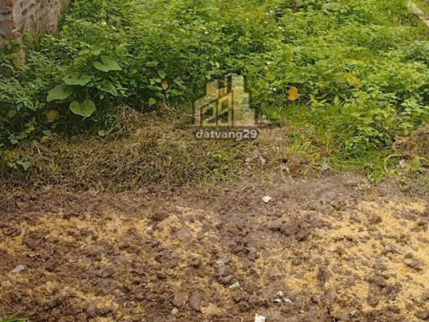 Bán Đất Trung Hoà Chương Mỹ Hà Nội – S=52.5m2