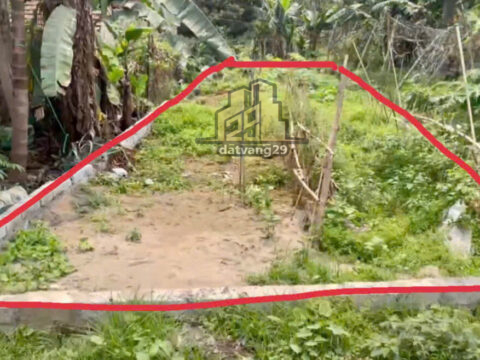 Bán Đất Hoàng Văn Thụ Chương Mỹ Hà Nội – S=150m2