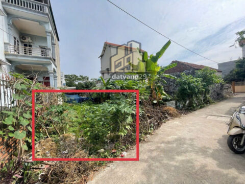 Bán Đất mặt tiền 4m phụng châu chương mỹ – S=62.4m2