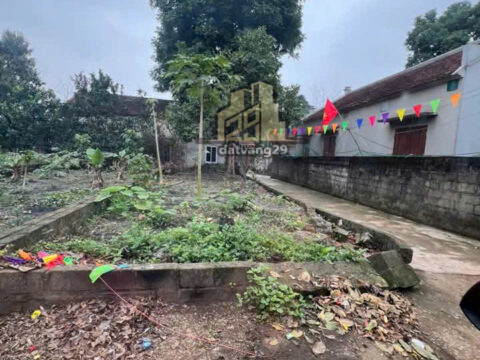 Bán đất lô góc nam phương tiến chương mỹ hà nội – S=55.5m2